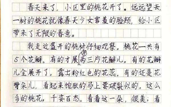 三年级作文我的植物朋友300字_三年级描写植物的优秀作文