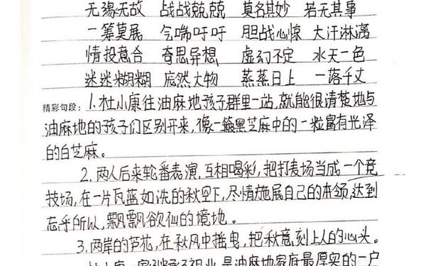 《草房子》读书笔记(草房子9个章节概括)