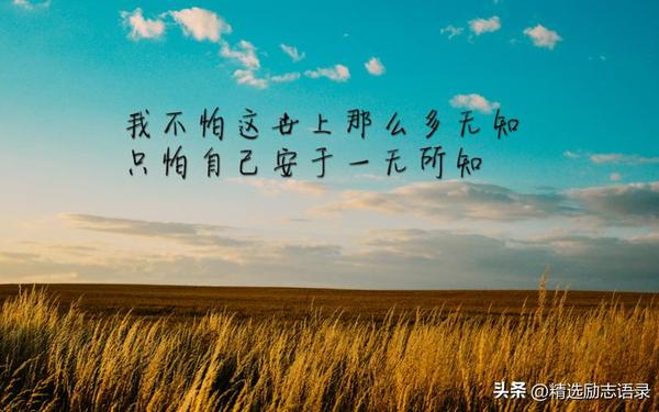 句透人生经典语录-精辟人生感悟句子经典