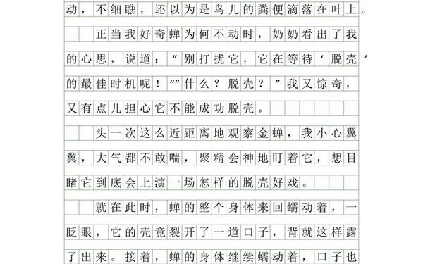 生活万花筒400字 作文400字四年级上册