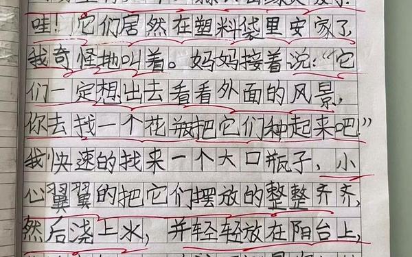 儿童作文大全二年级—二年级作文100篇