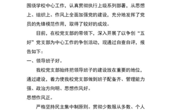 基层党组织自查报告—基层党组织自评情况怎么写