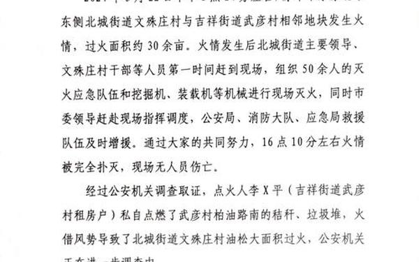 情况说明范文,情况说明模板格式及范文