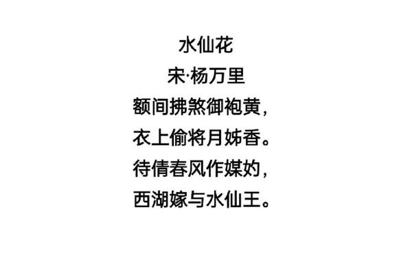 水仙花的诗歌(水仙子十首经典诗词)