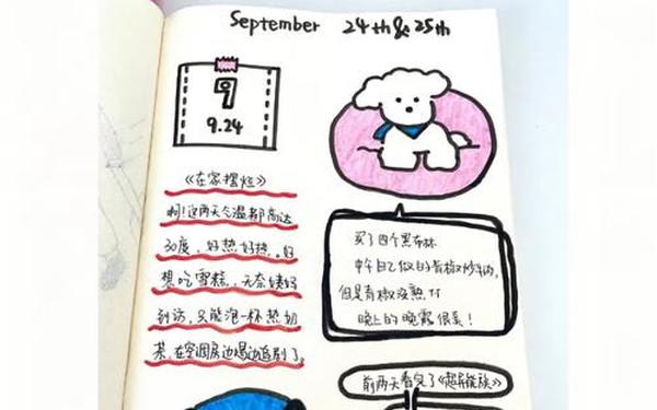 抄日记20字(日记15～20个字)