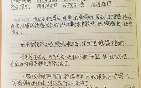 假如给我三天光明读书笔记摘抄_《人生》读书笔记摘抄及感悟