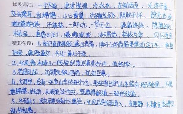 《草房子》读书笔记(草房子9个章节概括)