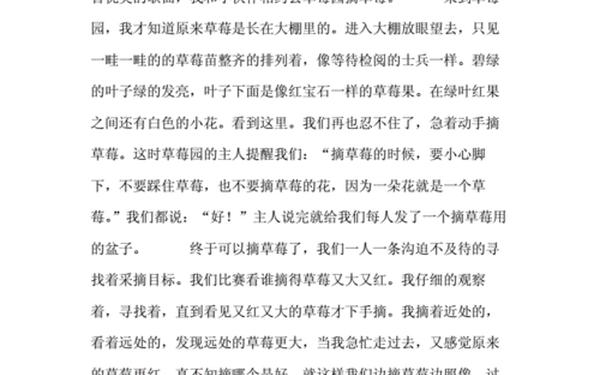 摘草莓作文_摘草莓400字优秀作文
