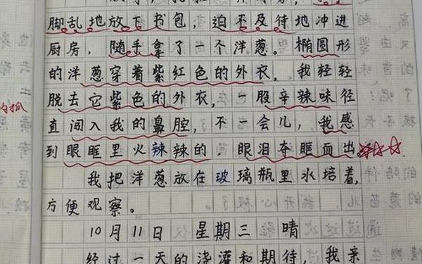 日记的格式该怎么写？,四年级日记的格式