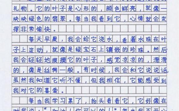 300字作文免费(300百字作文)