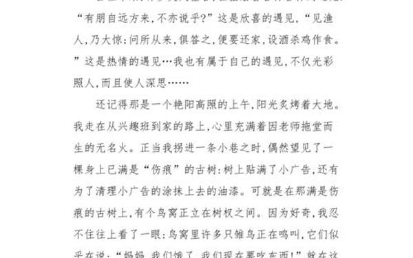 最美丽的相遇;最美丽的遇见作文600字
