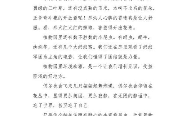校园的一角作文400字(《校园一角》400字)
