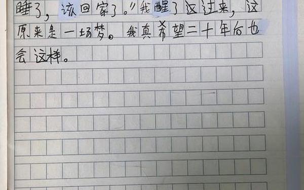 小学五年级优秀作文精选10篇_小学五年级作文范文20篇
