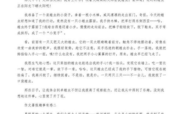 暑假趣事300字左右(夏天趣事作文300字)