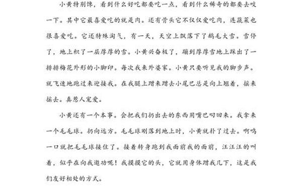 小动物300字优秀作文—写小动物400字可抄