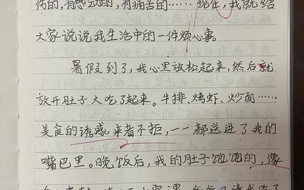 一件烦心事作文400字四年级_烦恼的事情作文400字