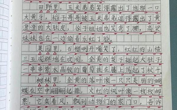 美丽的秋天作文 美丽的秋天300优秀作文