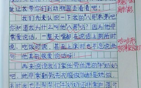 四年级上册第二单元作文小小动物园 四年级语文书上的丧尸