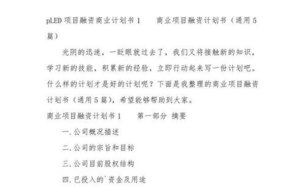 个人融资计划书 融资计划书模板范文