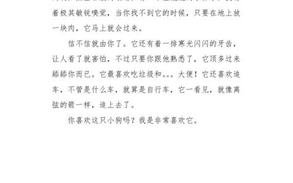 可爱的小狗作文、小狗的作文200字