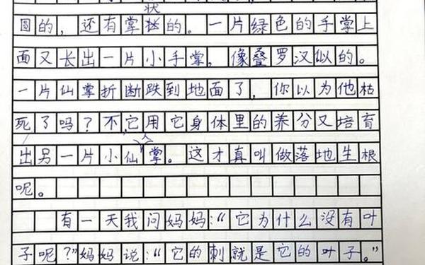观察日记植物仙人掌(观察日记. 植物篇300字仙人掌)