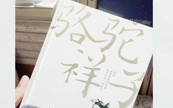 100本经典好书推荐(文学书籍推荐100本)