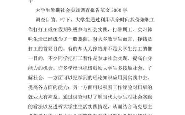 调研报告格式模板范文3000字—一份完整的调研报告模板