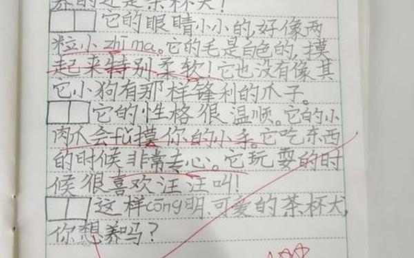 我想养的小动物作文二年级—二年级写话养小动物
