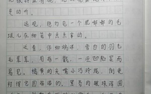 150日记免费可抄_曰记150字日记大全