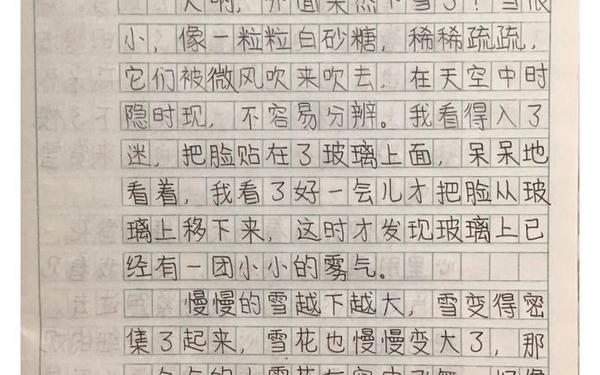 冬天的景色作文_描写冬天的自然景象