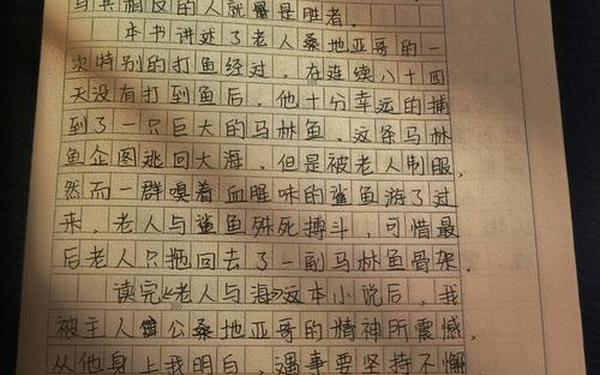 假如给我三天光明读后感300字_老人与海读后感800字
