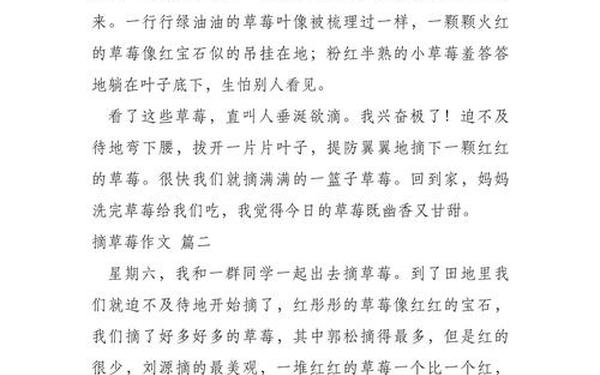 摘草莓作文_摘草莓400字优秀作文