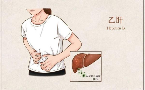 乙肝怎么传染 乙肝一起吃饭会不会传染给家人