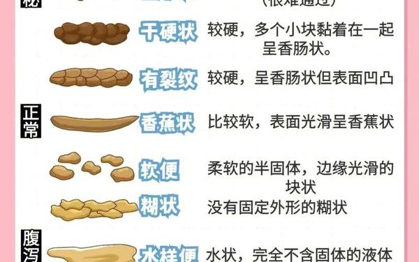 女生拉的屎好吃吗-屙屎和拉屎的区别