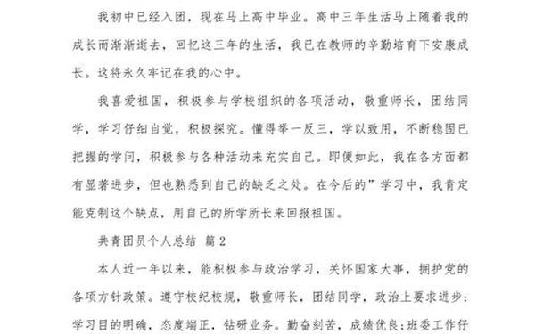 团支部年度工作总结—团员个人总结300字