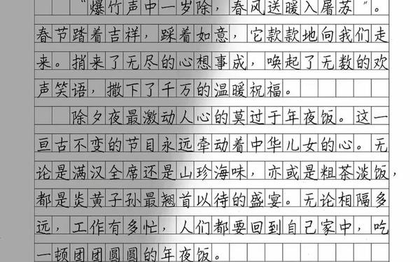 以春节为题写一篇作文,春节题材的作文