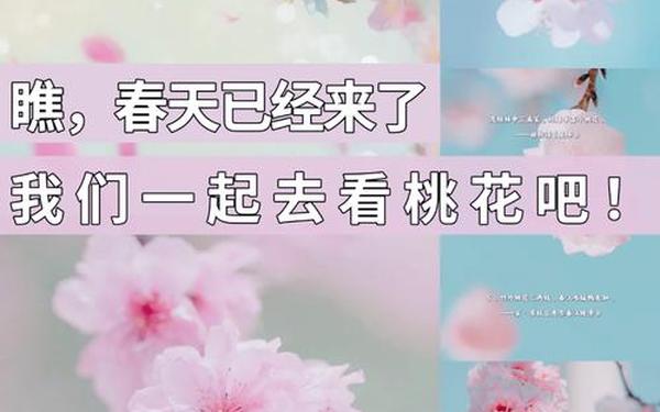 十里桃花霞满天;十里桃花出自哪句诗词