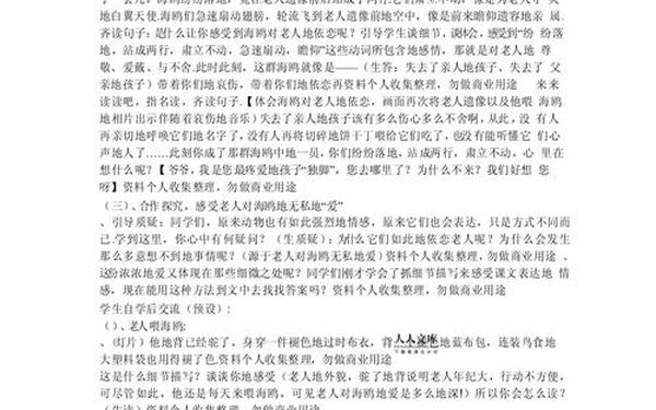 老人与海鸥-老人与海鸥的故事