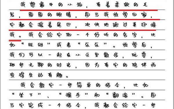 我想养的小动物作文二年级—二年级写话养小动物