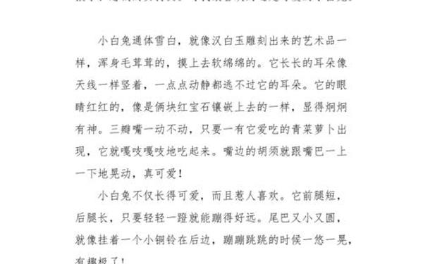 可爱的小白兔作文_小兔子优秀作文300字