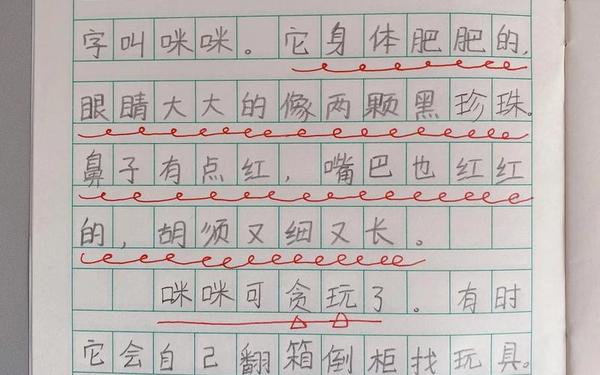 二年级有趣的动物写话 看图写话《有趣的动物》