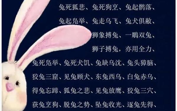 兔的成语100个;龙字成语500个