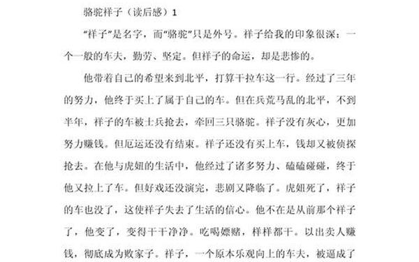 写读后感作文(写读后感作文400字篇)