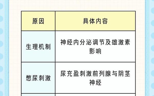 晚上睡觉下面一直硬的原因 女生下面一侧大一侧小什么原因
