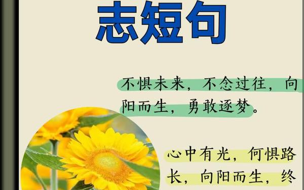 心理美文《心若向阳》-心若向阳的下一句话