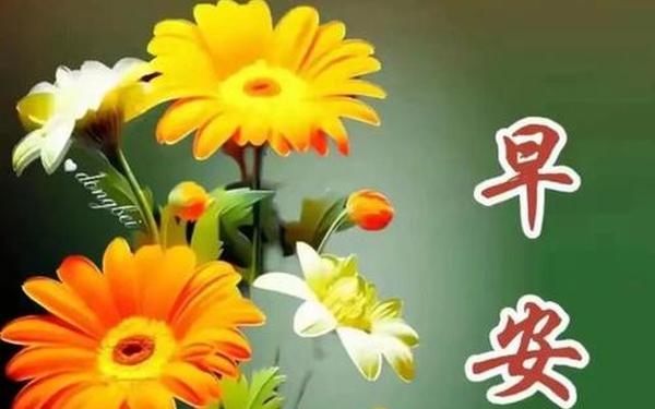 一句美好的祝福语 最美祝福语大全简短