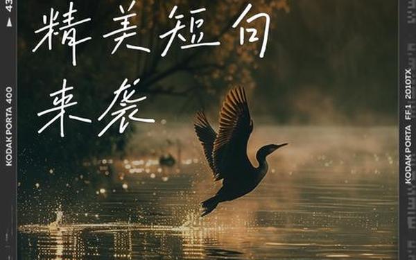 同学会感言,30年聚会感言金句