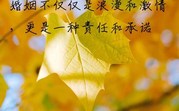爱情计划书、爱情最怕的是一个在计划未来 爱情计划书、爱情最怕的是一个在计划未来