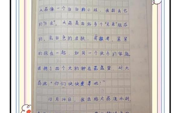 四年级观察日记-四年级日记10篇
