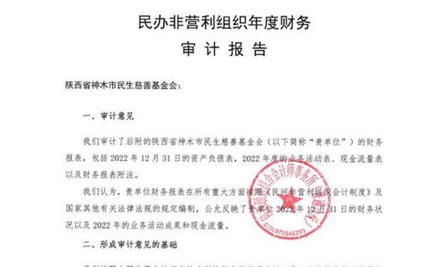 年度审计报告—年度审计报告一般几月份出